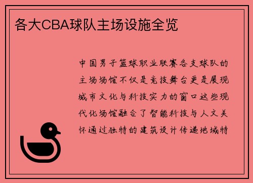 各大CBA球队主场设施全览